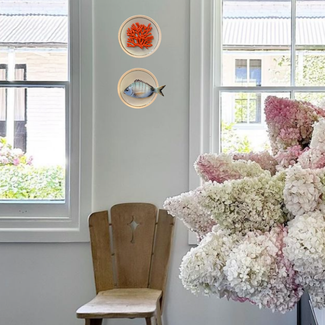 Sarago medio op zandkleur bord met lichte rand, 15cm rond