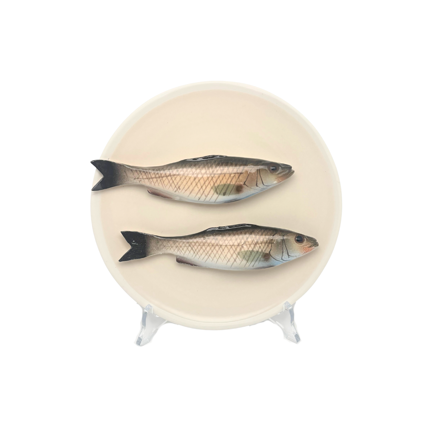 Spigola's medio op een beige bord met lichte rand, 20 cm