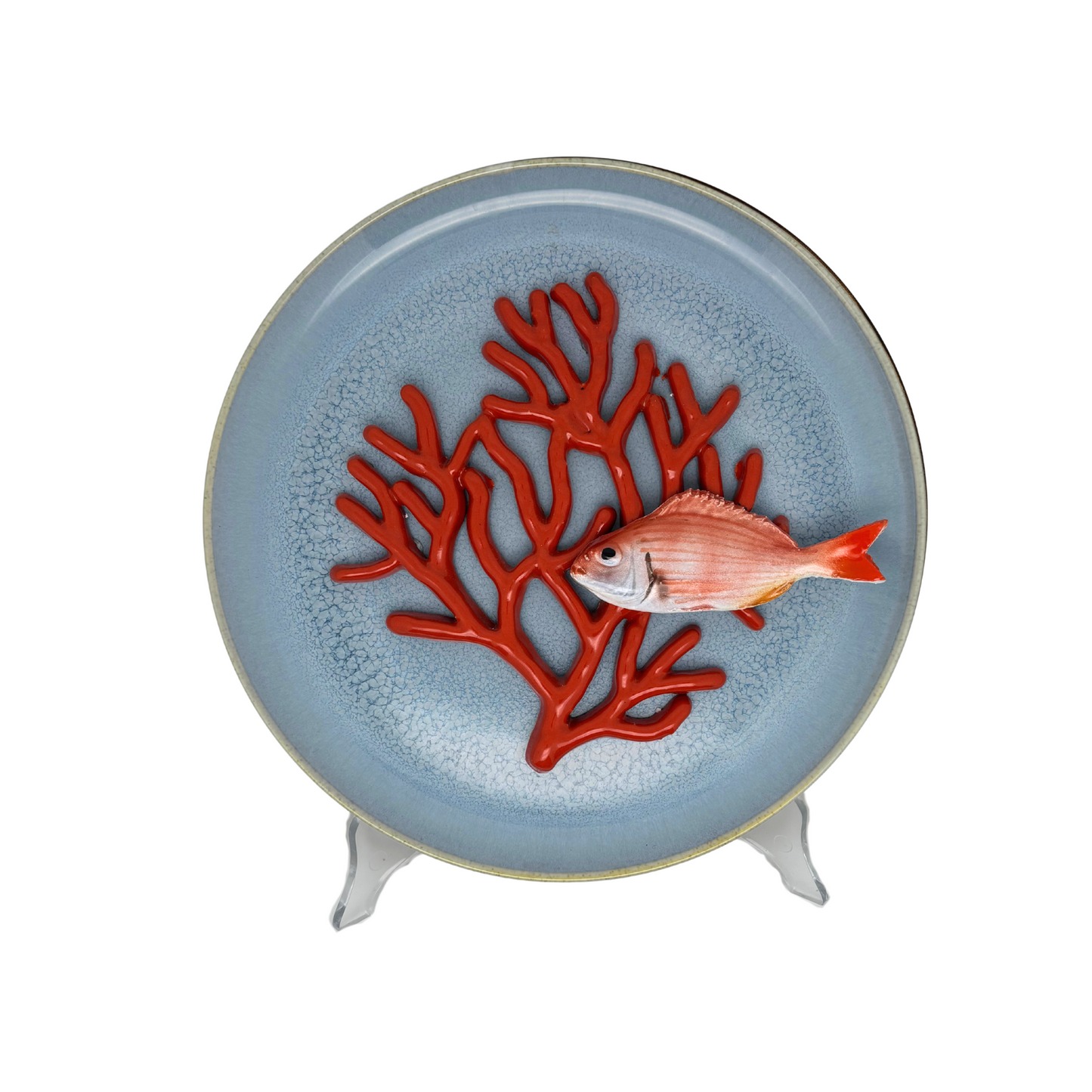 Koraal medio met Pagello piccolo op lichtblauw bord, 26cm rond