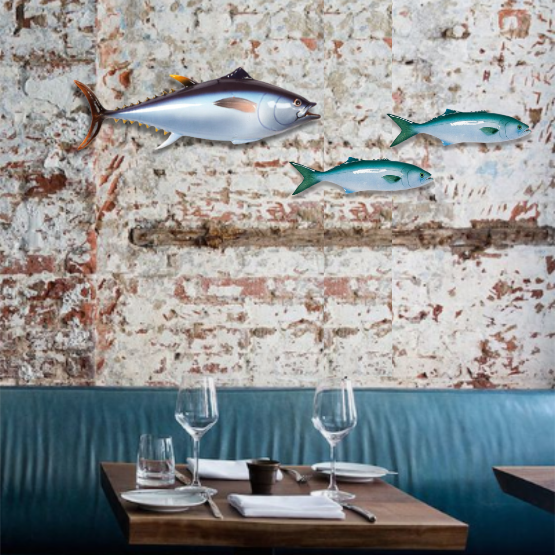 Tonno Grande, 65cm lang