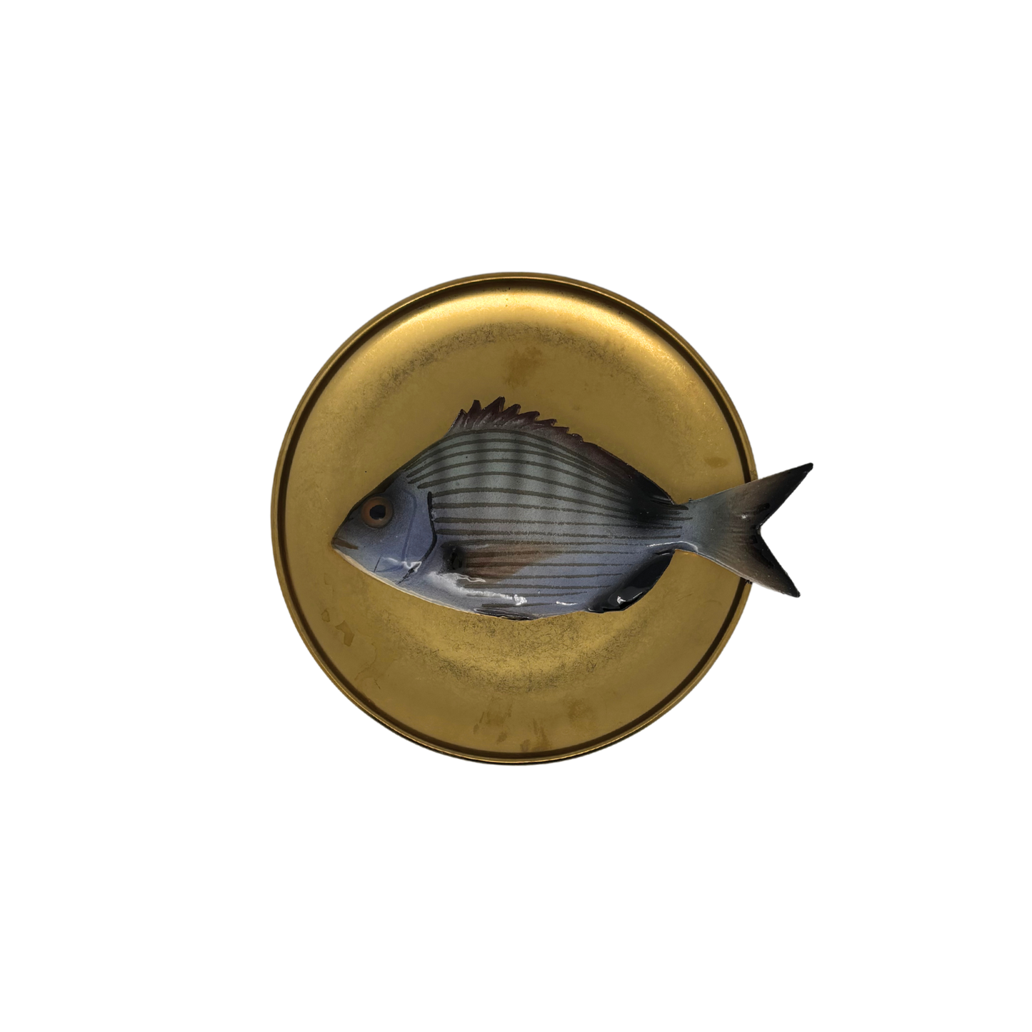 Sarago medio op antique gouden bord, 16cm rond