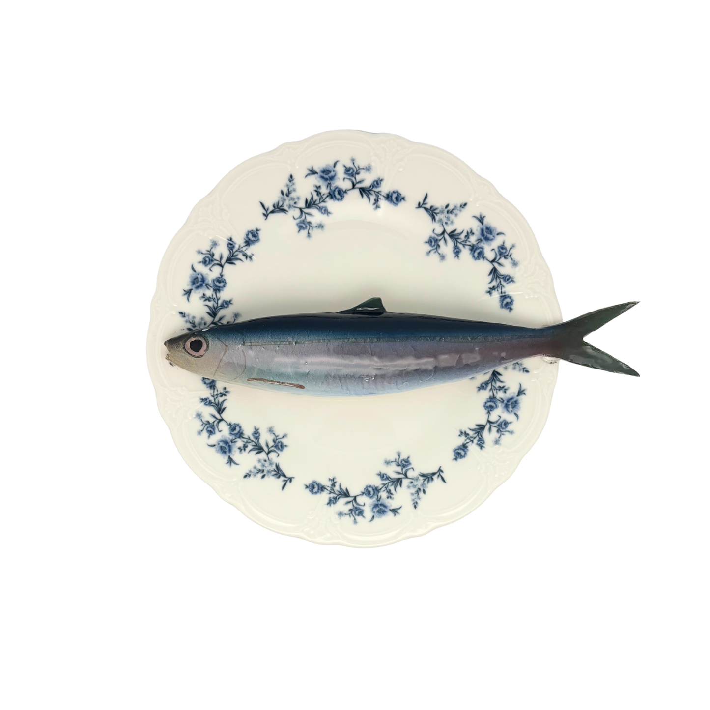 Alaccia/Haring op wit met blauwe details op decoratief bord, 21cm