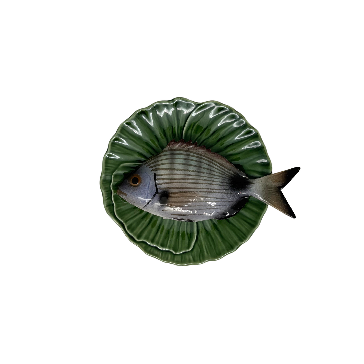 Sarago medio op groen bladvormig bord, 16cm