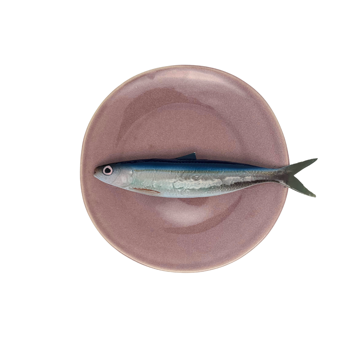 Alaccia/Haring op lila bord, 22 cm rond