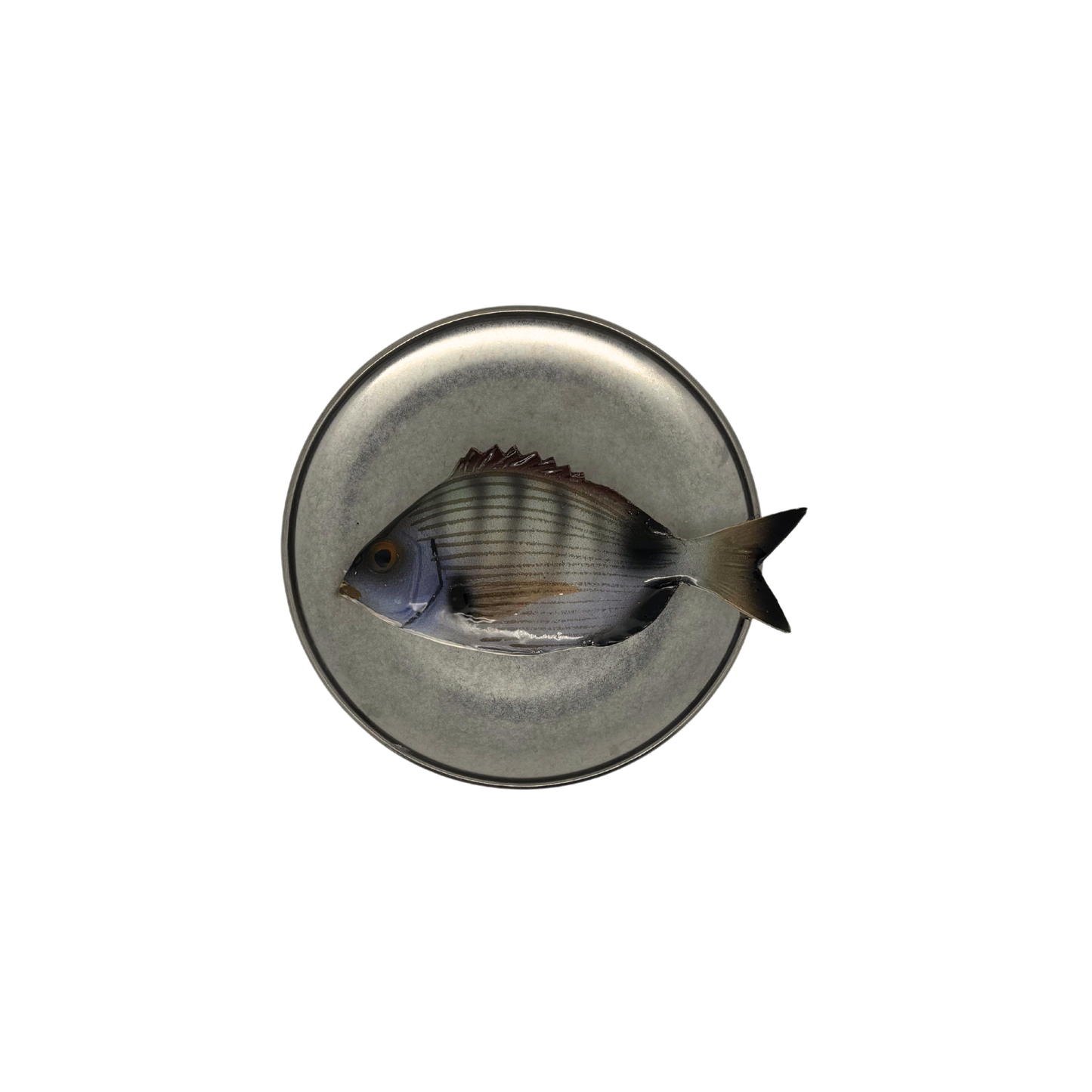 Sarago medio op antiek zilver bord, 16,5cm
