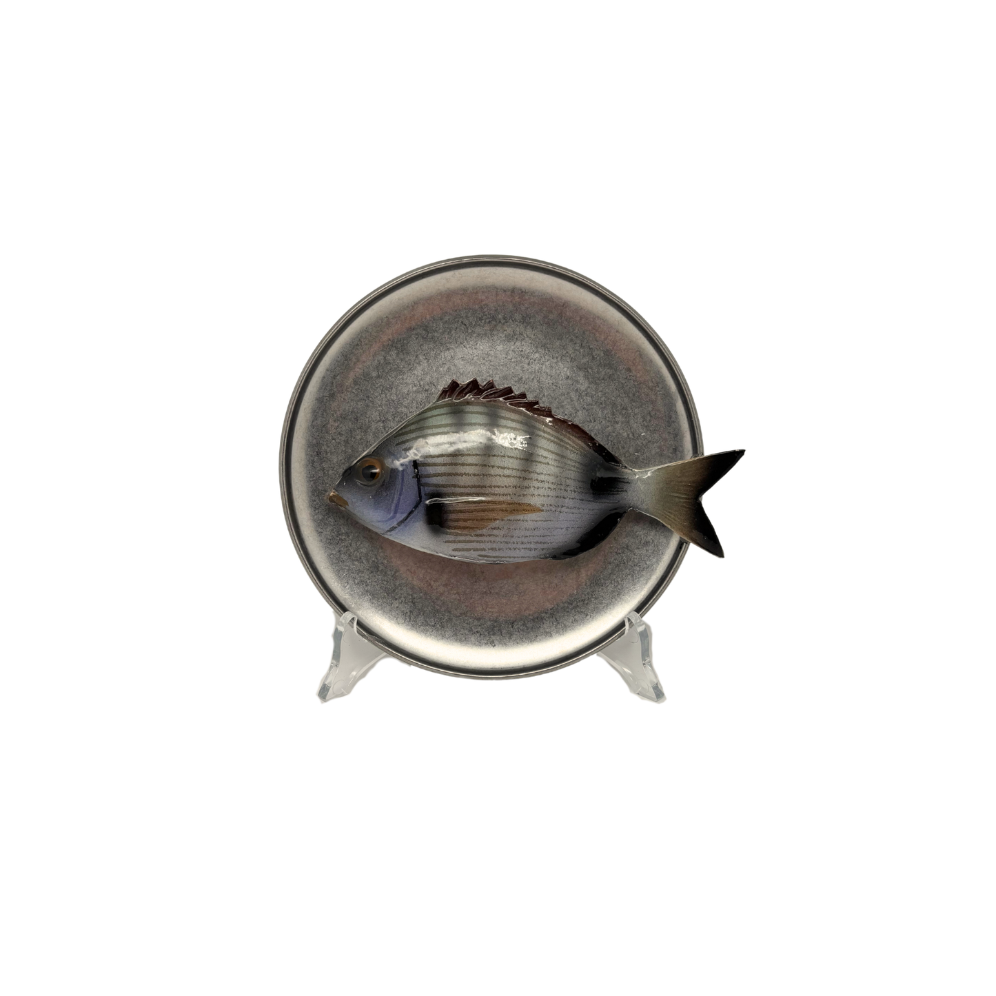 Sarago medio op antiek zilver bord, 16,5cm