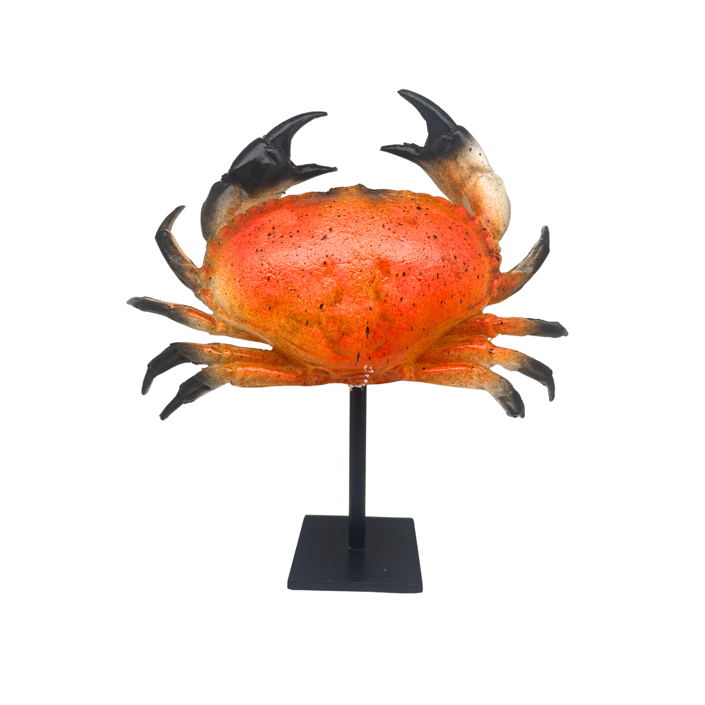 Kunst KRAB op standaard (polymeer) 34x34 cm