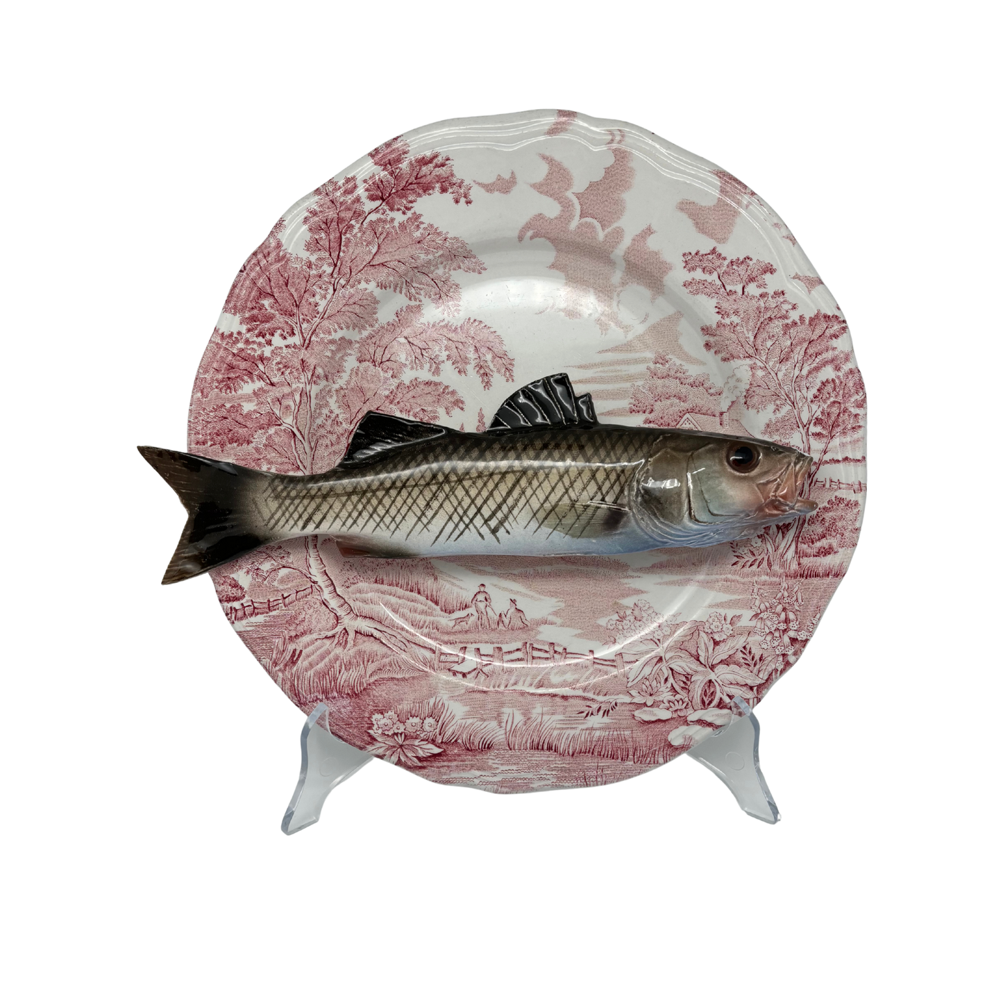 Spigola op roze vintage bord, 25 cm rond