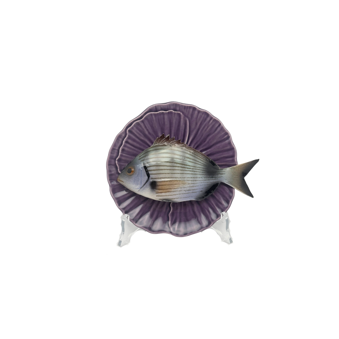 Sarago medio op een paars bladvormig bord, 16cm