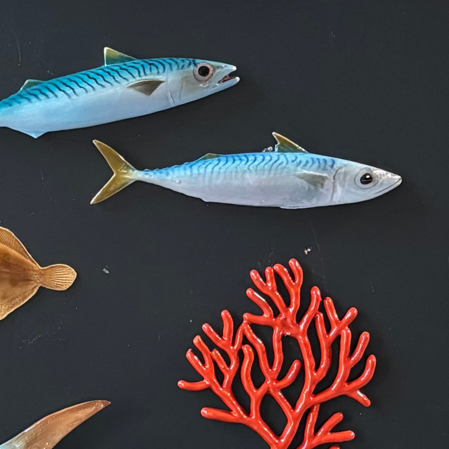 Makreel/Tombarello, 26 cm