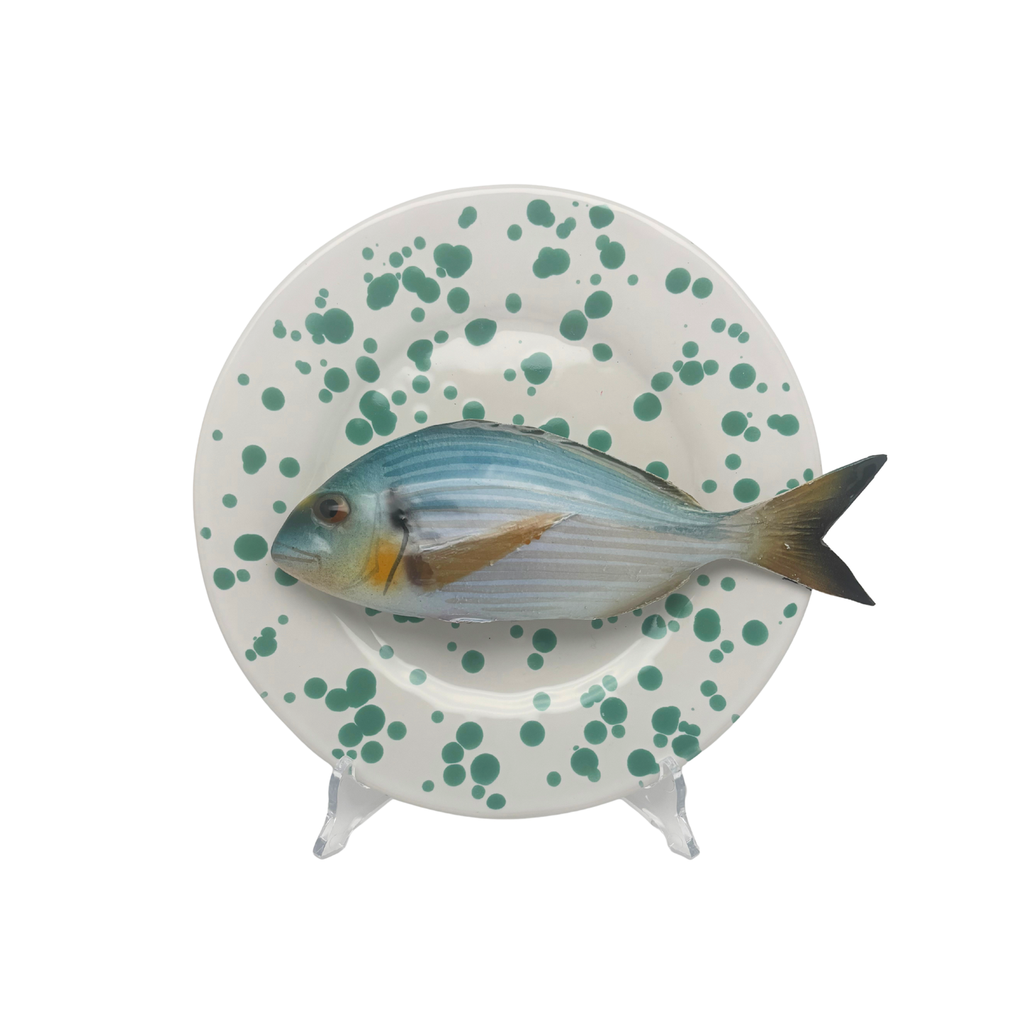 Orata op wit met groene verfspatten bord, 22 cm
