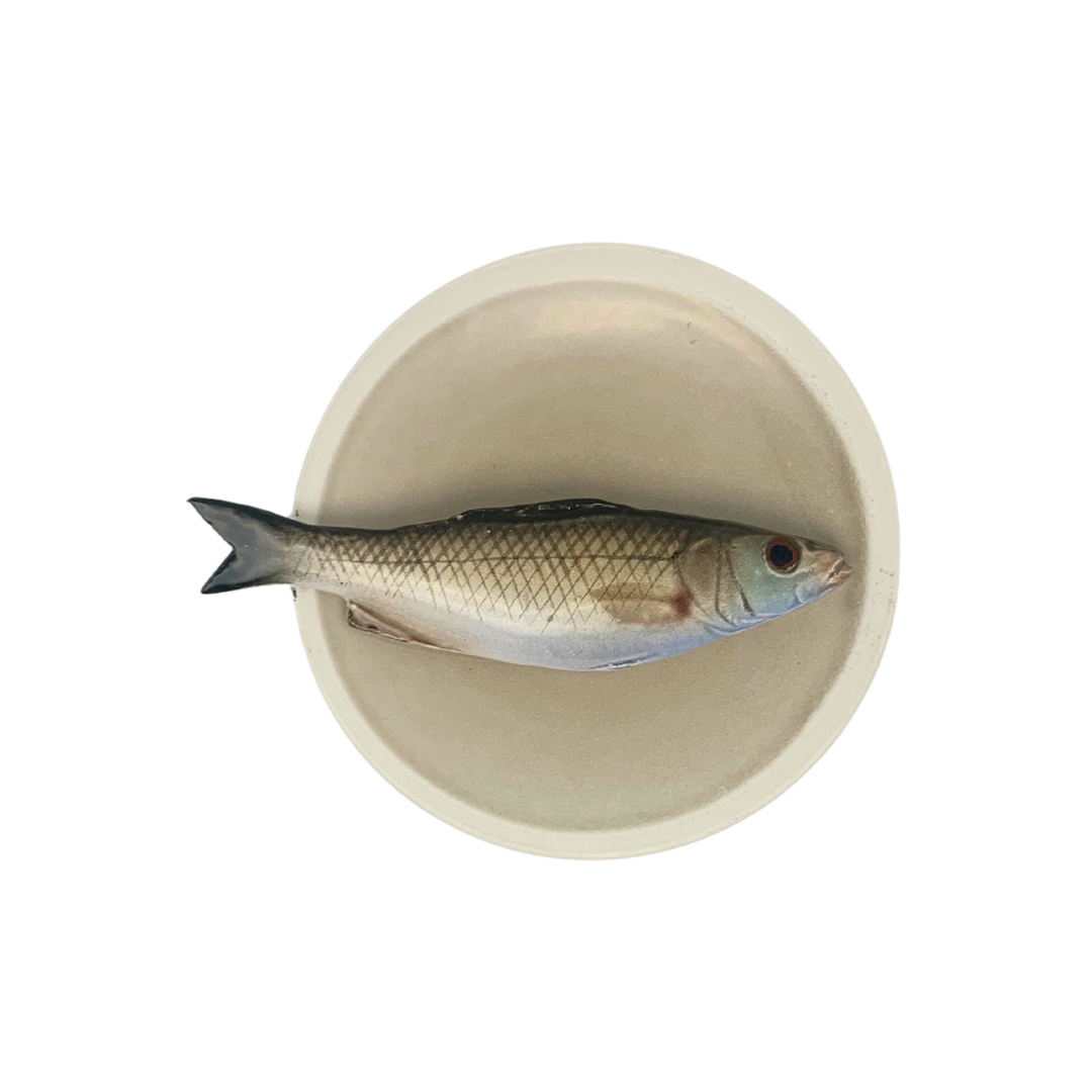 Spigola medio op zandkleurig bord met lichte rand, rond 15 cm