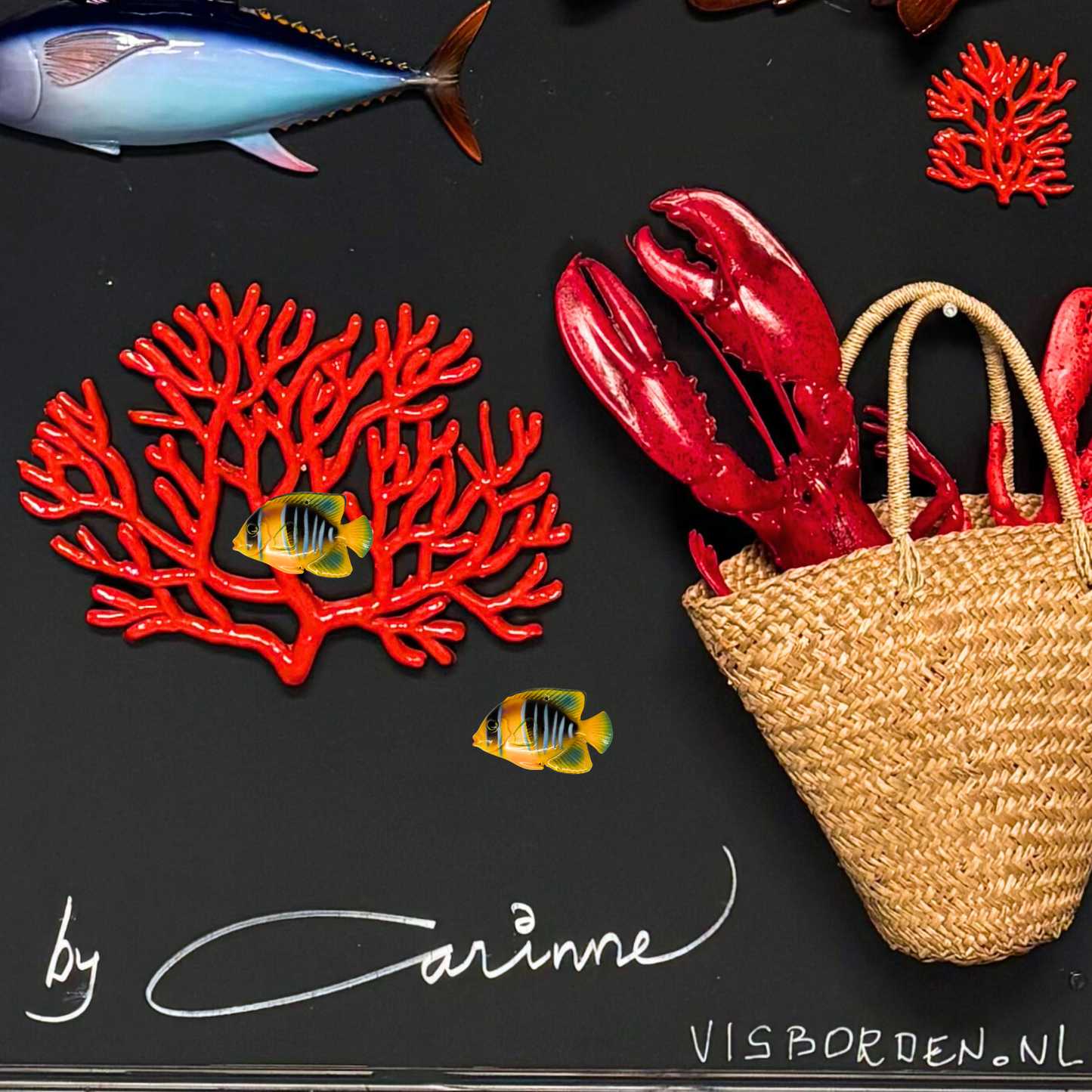 Tropische Diacanthus/Blauwvinvis, 11 cm