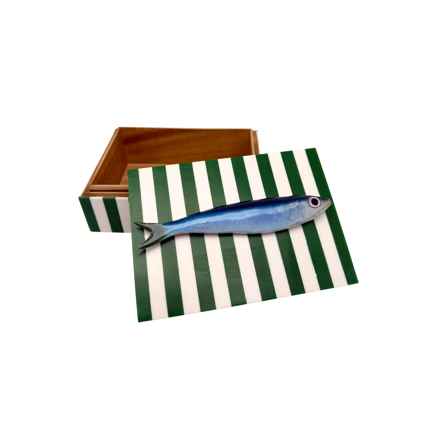 Sardine op groen met wit gestreept opbergbox, L18XB12,5XH7 cm