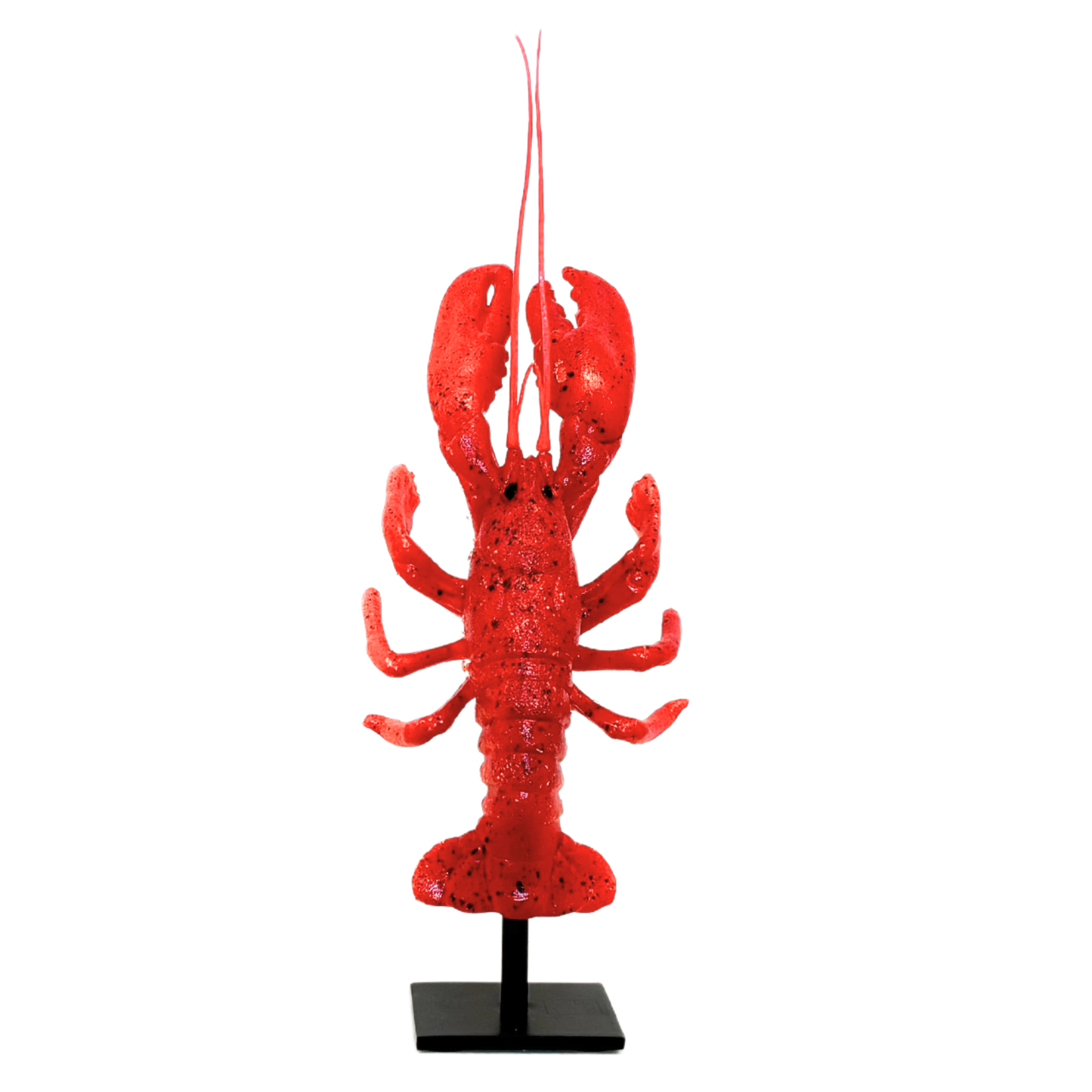 Kunst KREEFT Medium op standaard.(polymeer)