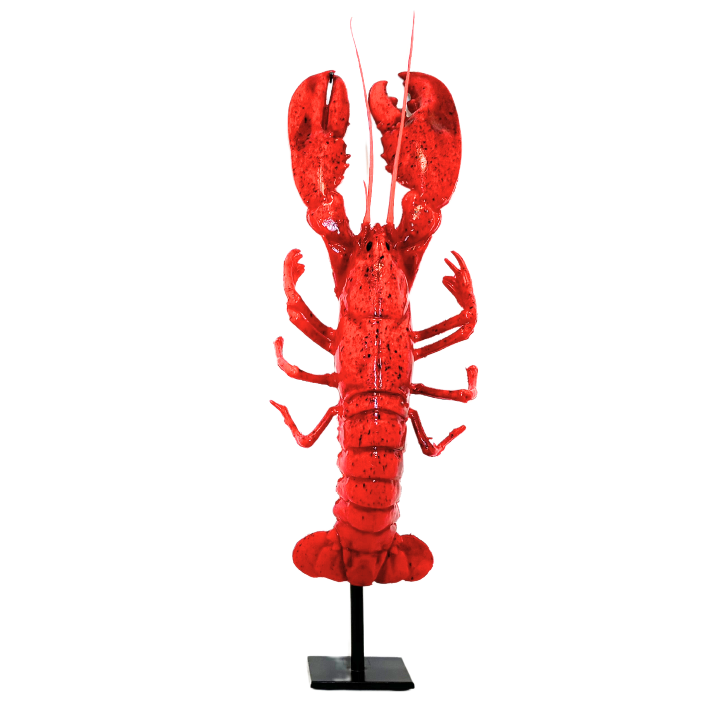 Kunst KREEFT Large op standaard.(polymeer)