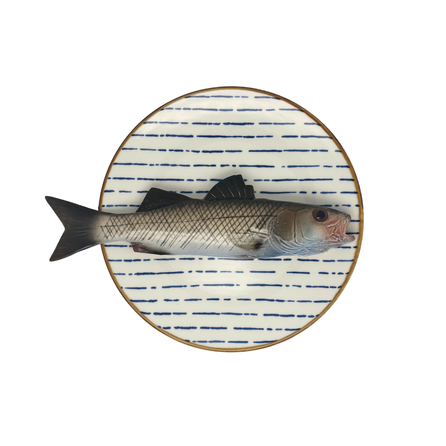 Spigola grande op blauw streep bord, 22cm rond