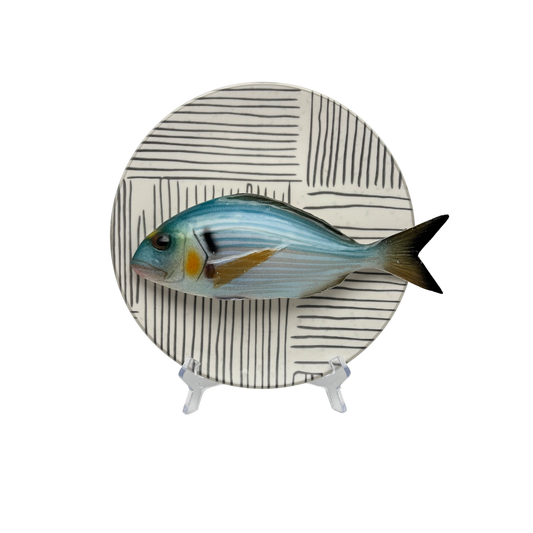 Orata op bord met grijze streep decoratie, 20 cm