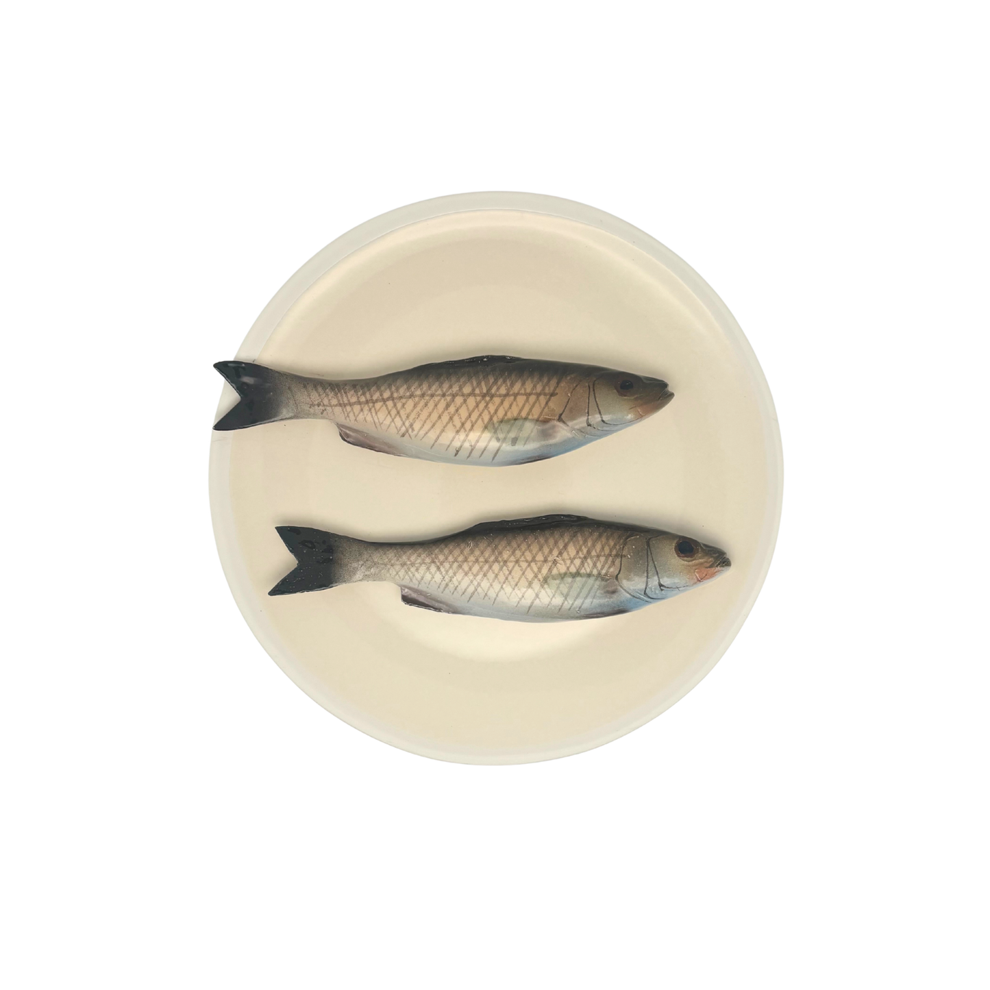 Spigola's medio op een beige bord met lichte rand, 20 cm