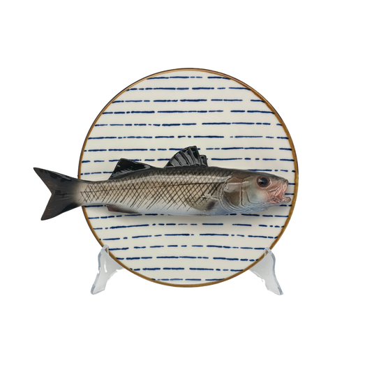 Spigola grande op blauw streep bord, 22cm rond