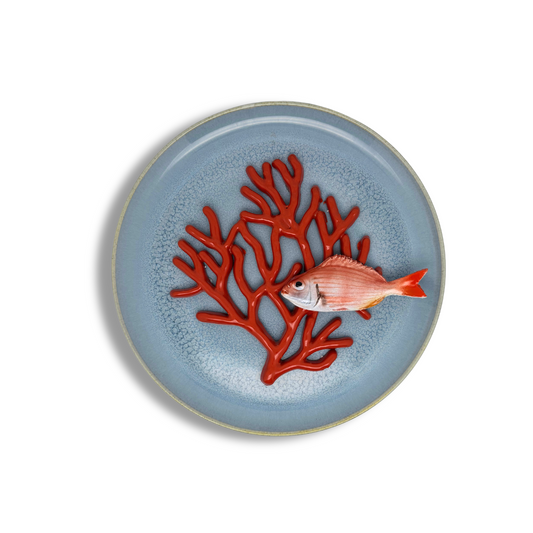 Koraal medio met Pagello piccolo op lichtblauw bord, 26cm rond