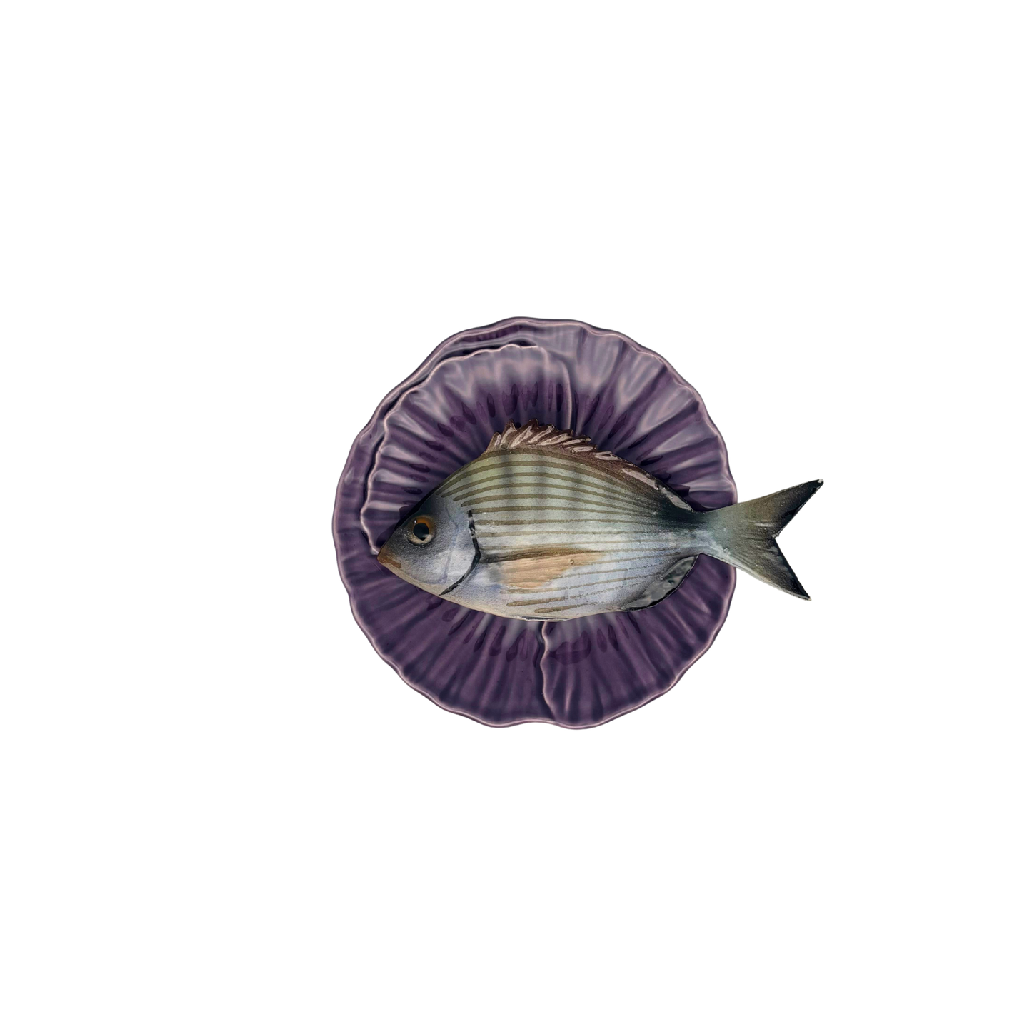 Sarago medio op een paars bladvormig bord, 16cm
