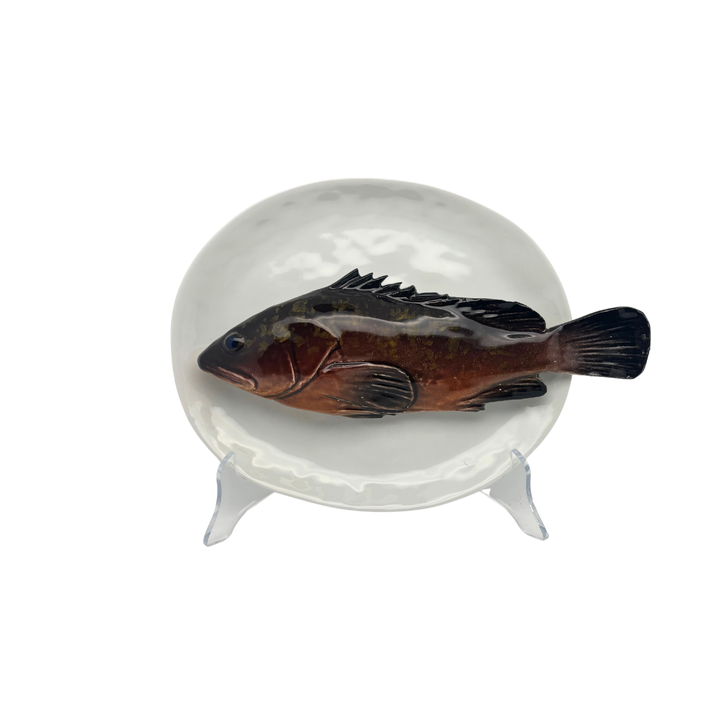 Cernia medio op een ovaal wit bord, 22X19 cm