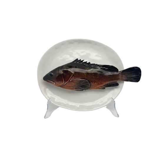 Cernia medio op een ovaal wit bord, 22X19 cm