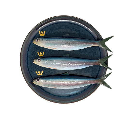 Haringen/Alaccia 3 stuks op donker blauw bord, 26cm rond