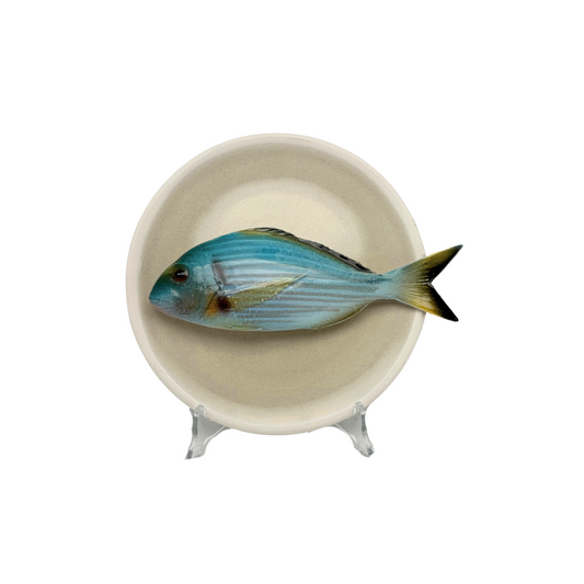 1103 Orata medio op een zandkleur bord, 20cm rond