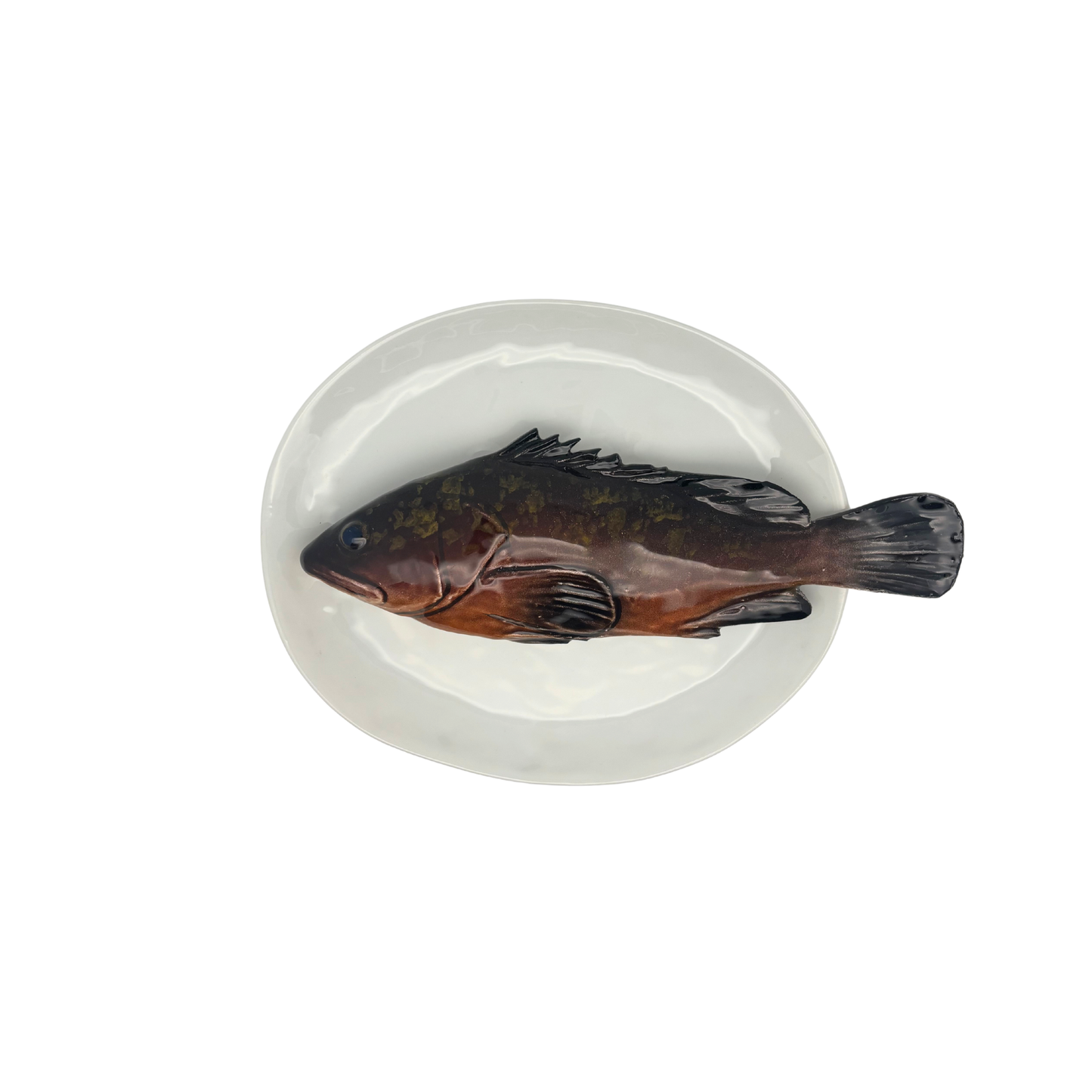 Cernia medio op een ovaal wit bord, 22X19 cm