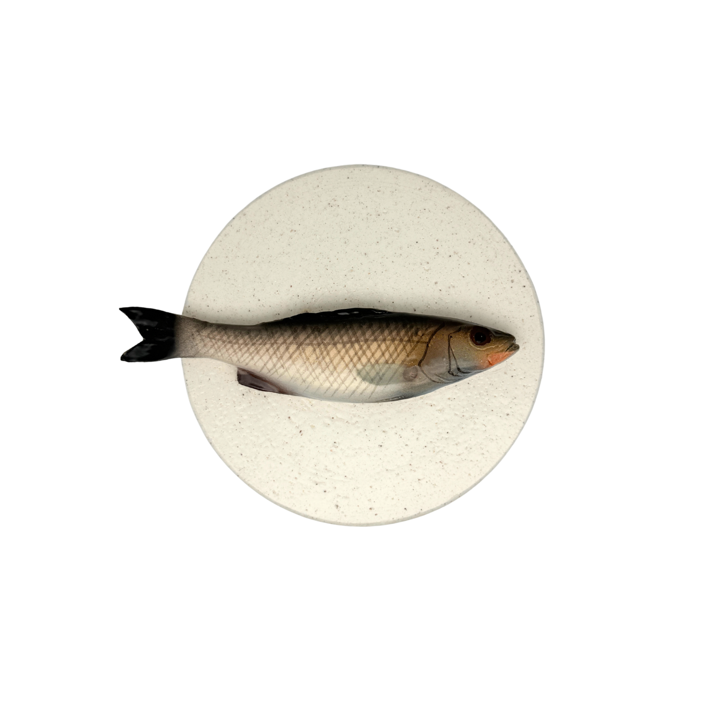 Spigola - Decoratief keramiek pot met deksel, 15 cm rond, handgemaakt