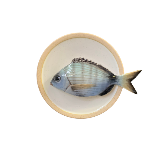 Sarago medio op crème kleur bord met lichte rand,  15cm rond