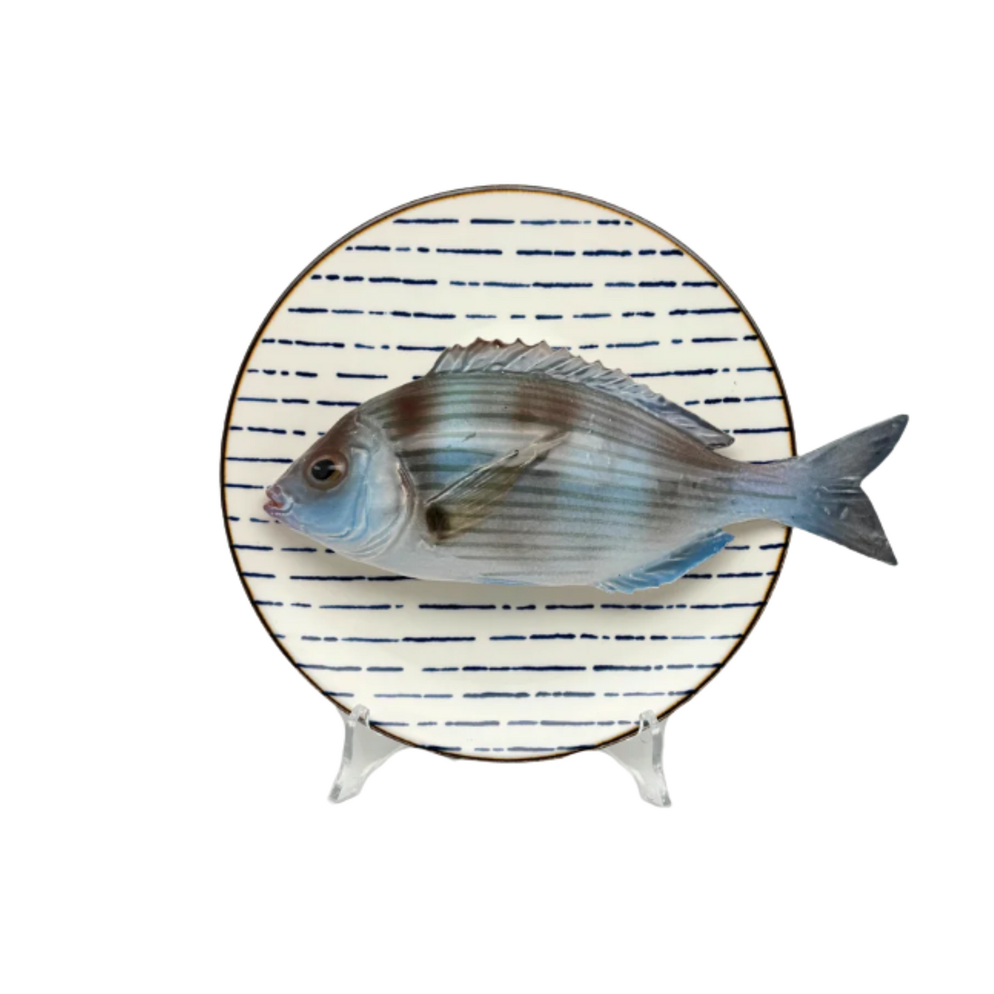 Tanuta op blauw gestreept bord, 22cm rond