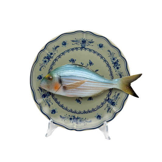 Orata op olijfgroen bord met blauwe decoratie 21 cm