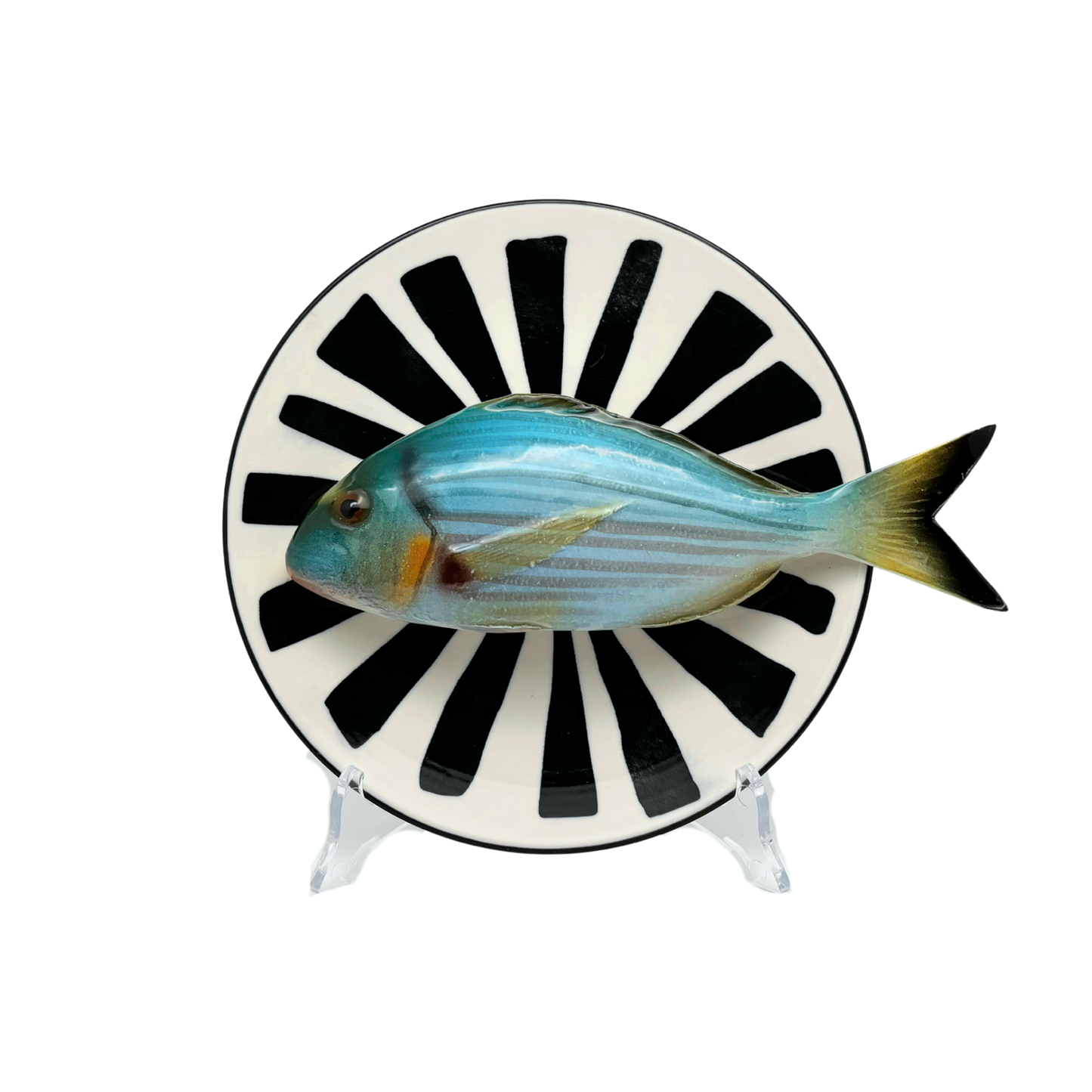 Orata medio op een wit bord met zwarte decoratieve strepen, 20cm.