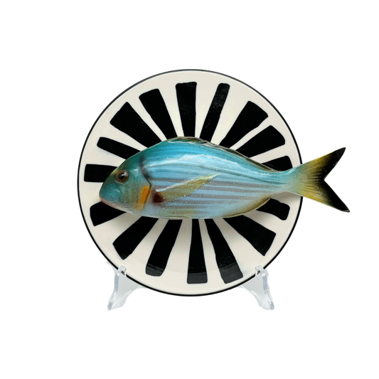 Orata medio op een wit bord met zwarte decoratieve strepen, 20cm.
