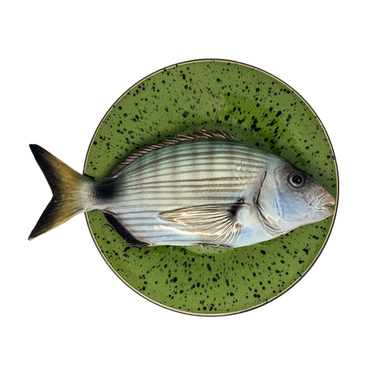 Sarago grande op groen met donker groene verfspatten bord, 27cm rond