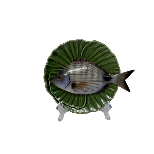 Sarago medio op groen bladvormig bord, 16cm