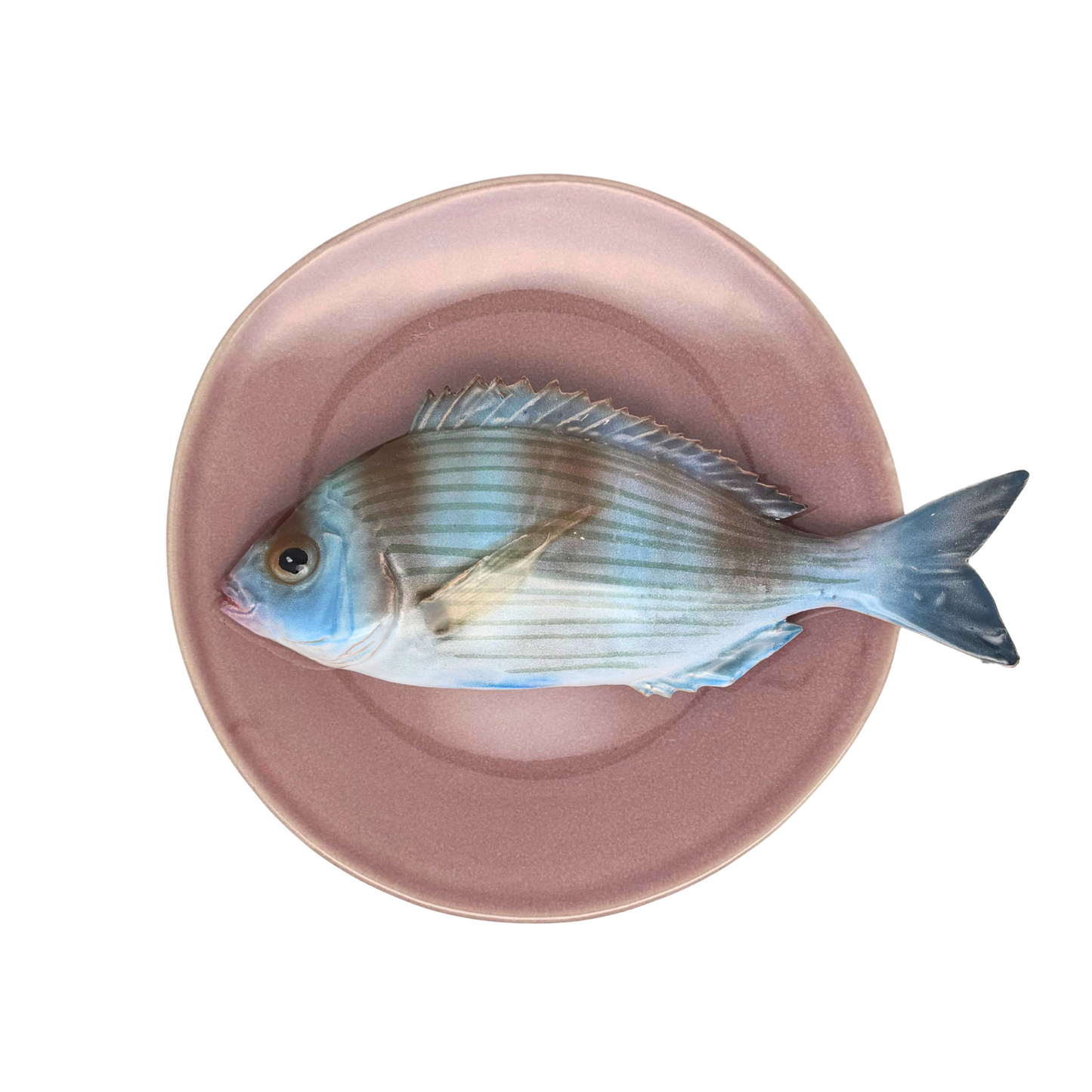 Tanuta op lila/aubergine kleur bord, 22 cm rond