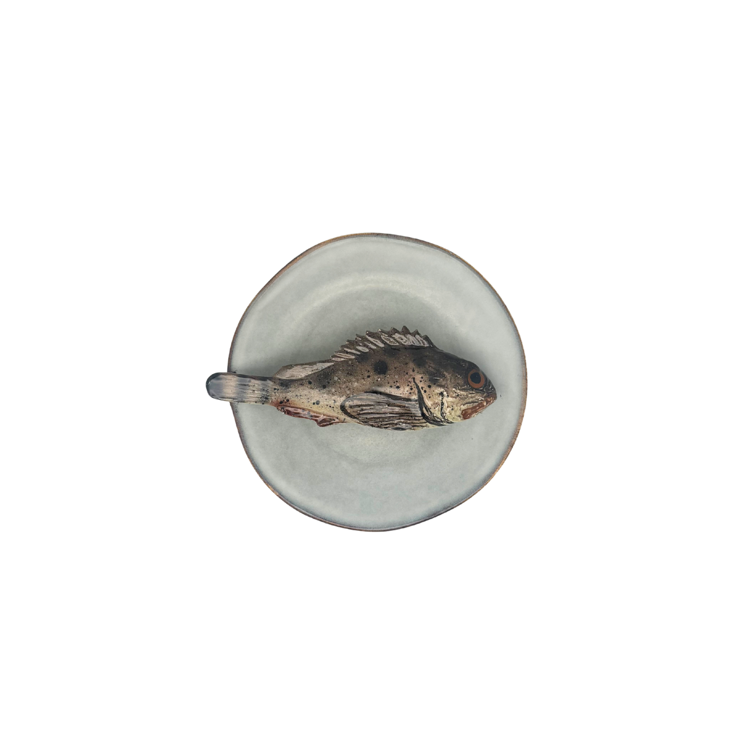 Scorfano Marrone op kiezel kleur bordje, 13cm
