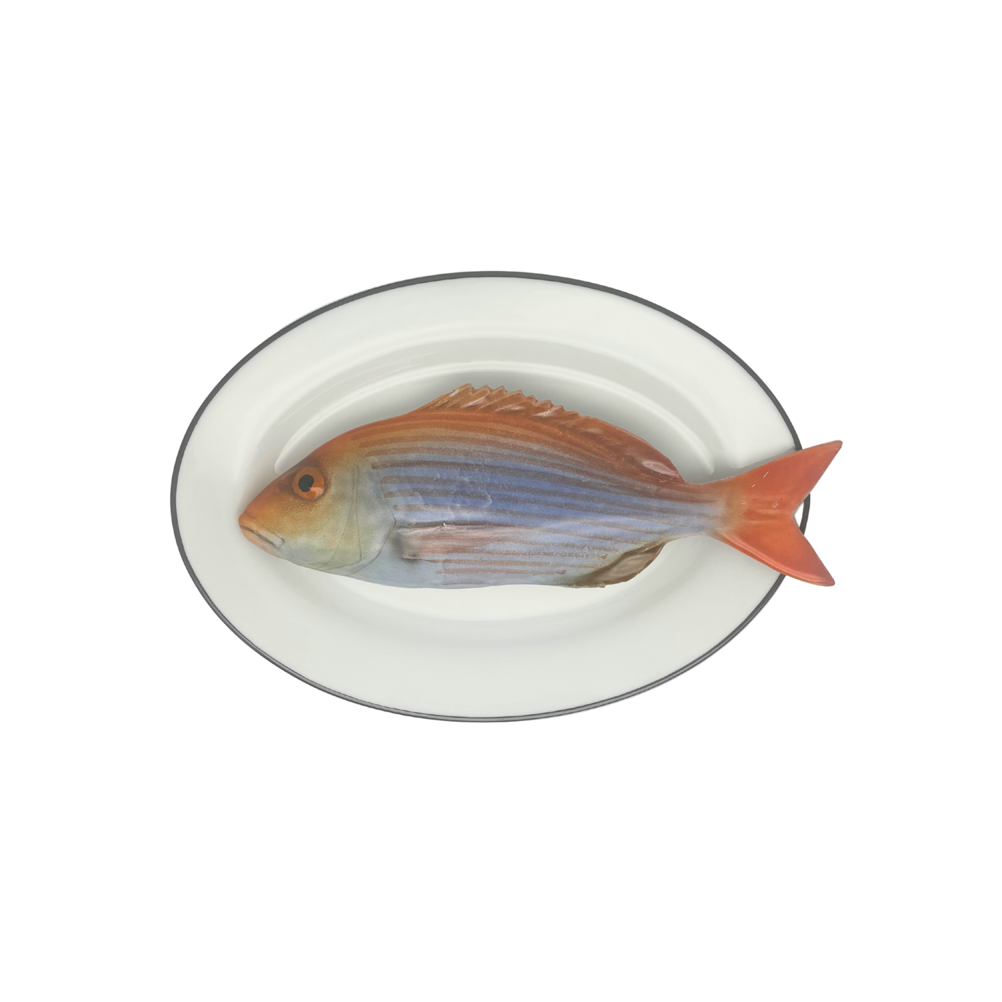 Dentice op ovaal wit bord met donker grijze rand, 25x17cm
