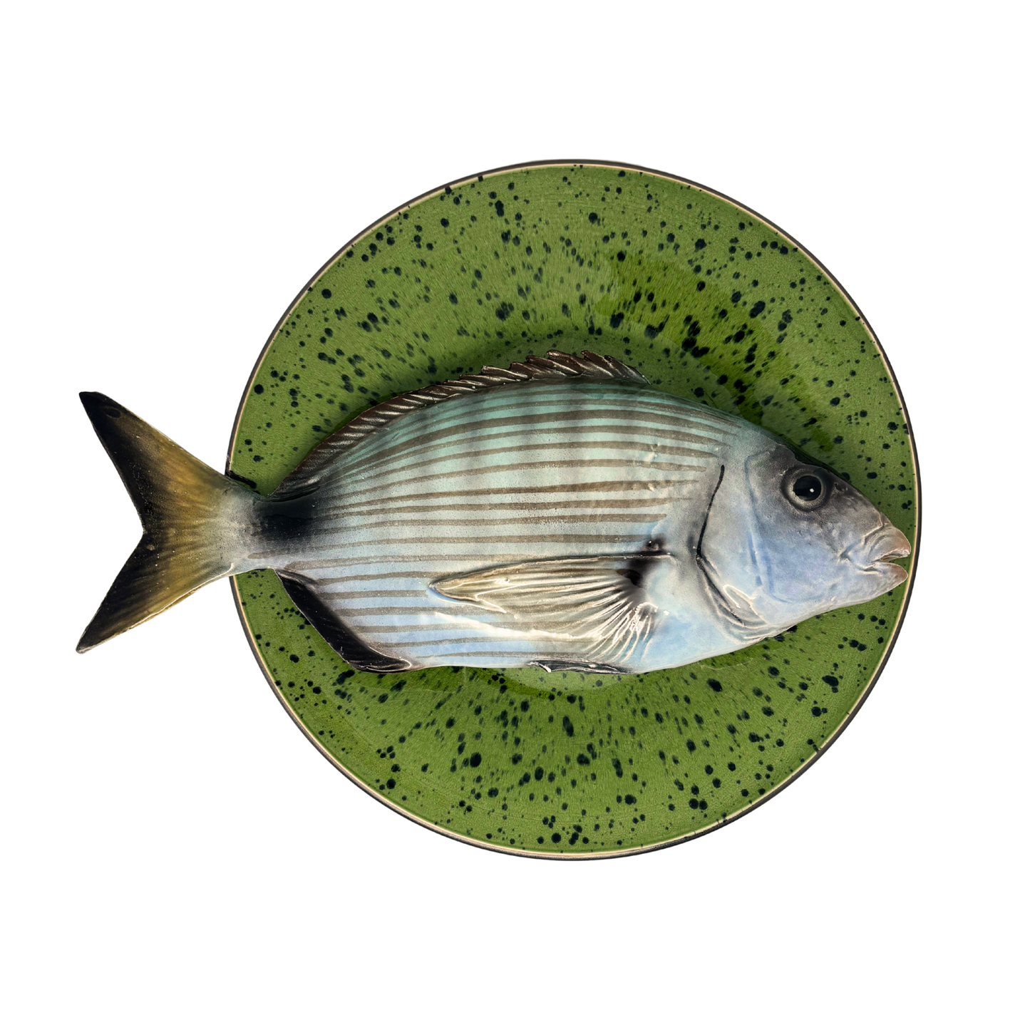 Sarago grande op groen met donker groene verfspatten bord, 27cm rond