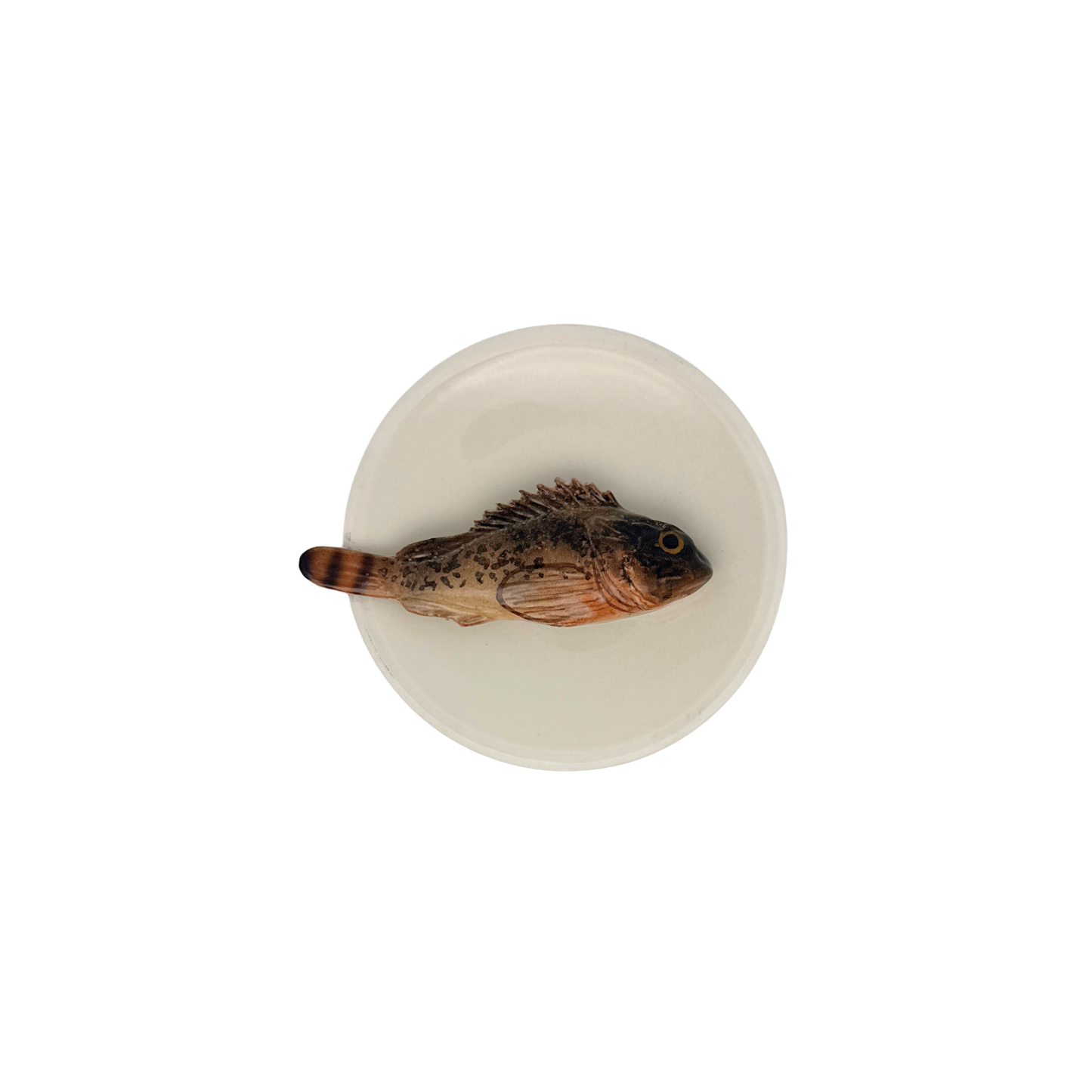 Scorfano Marrone op een beige bordje met lichte rand, 15 cm