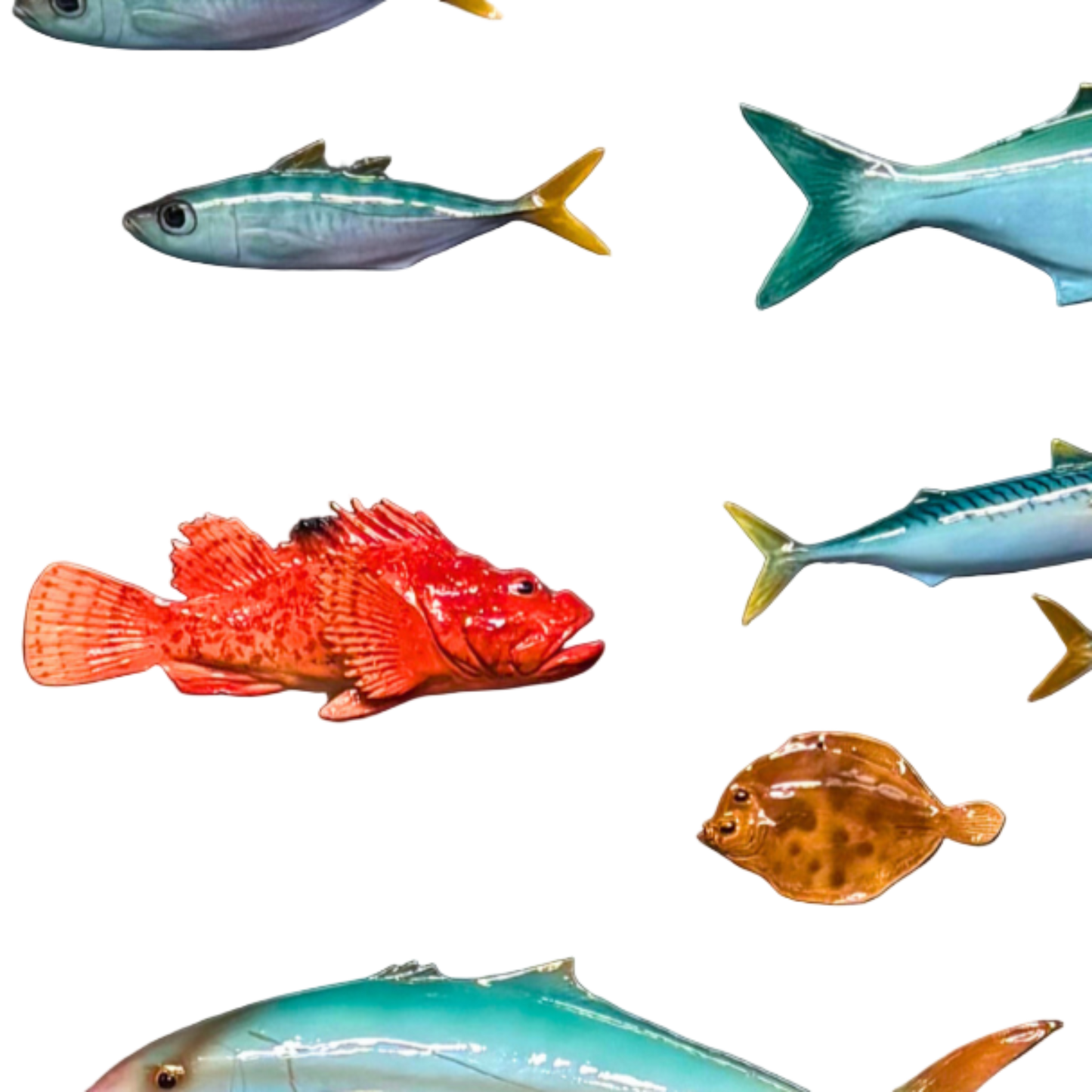 Makreel/Sgombro, 28 cm