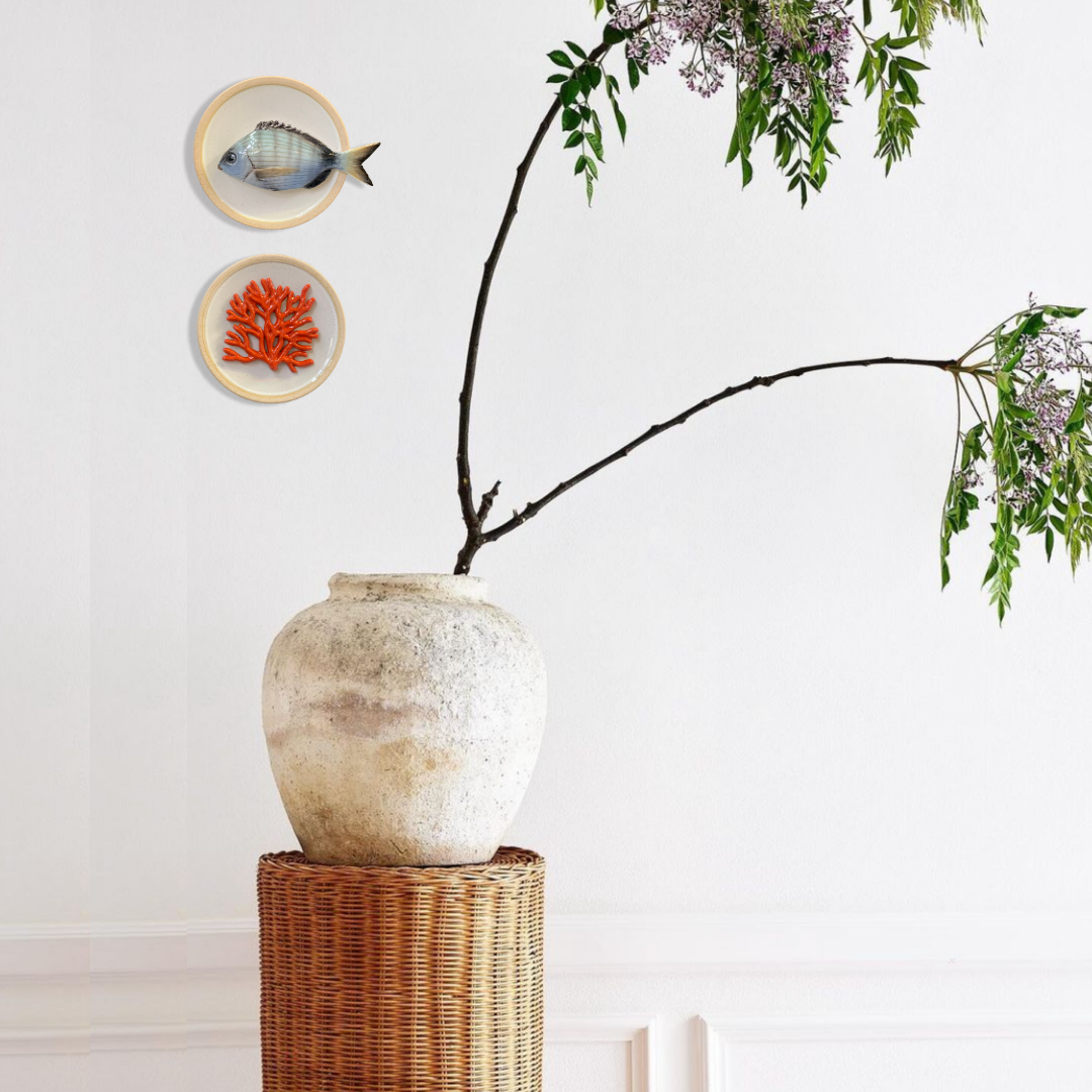 Sarago medio op crème kleur bord met lichte rand,  15cm rond