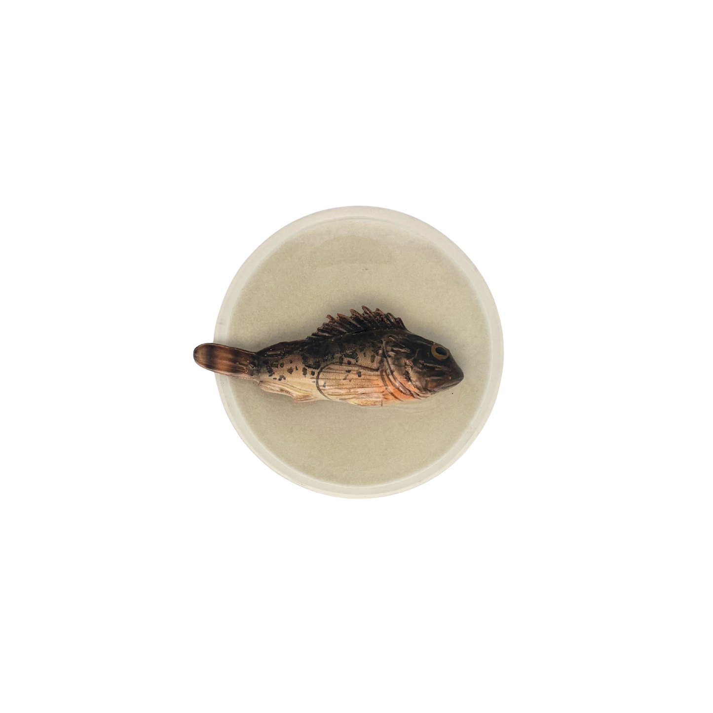 Scorfano Marrone op een beige bordje met lichte rand, 15 cm