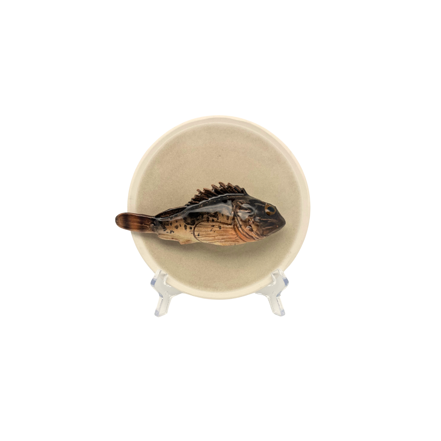 Scorfano Marrone op een beige bordje met lichte rand, 15 cm