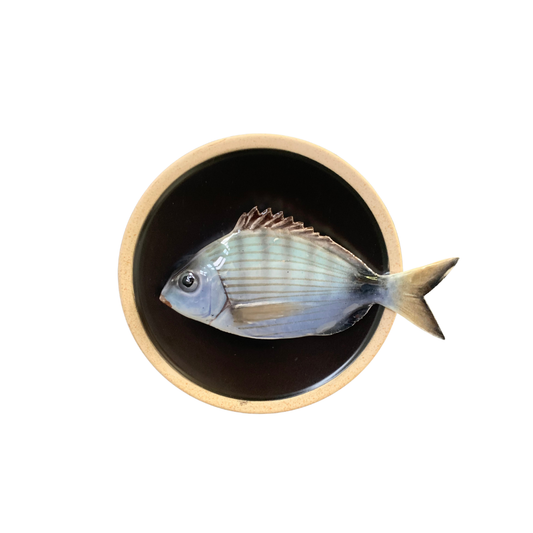 Sarago medio op mat zwart bord met lichte rand,  15cm rond