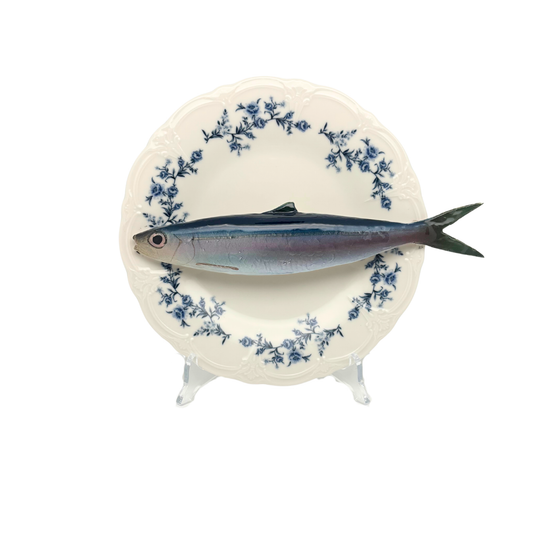 Alaccia/Haring op wit met blauwe details op decoratief bord, 21cm